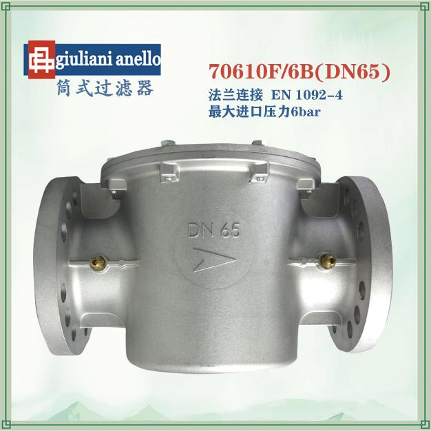70610F/6B意大利giuliani anello筒式過濾器DN65鑄鋁材質