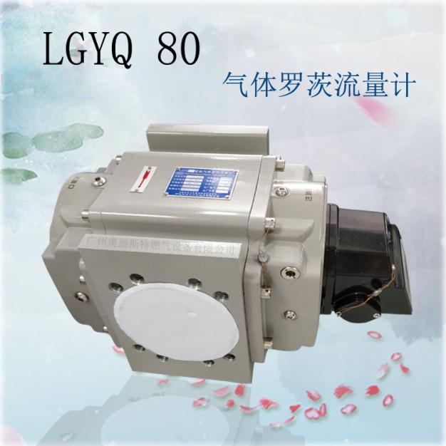 羅茨腰輪流量計(jì)LGYQ80智能氣體羅茨流量計(jì)