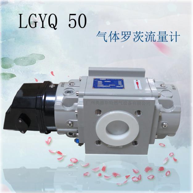 LQYQ50腰輪燃?xì)饬髁坑?jì)/智能氣體羅茨流量計(jì)
