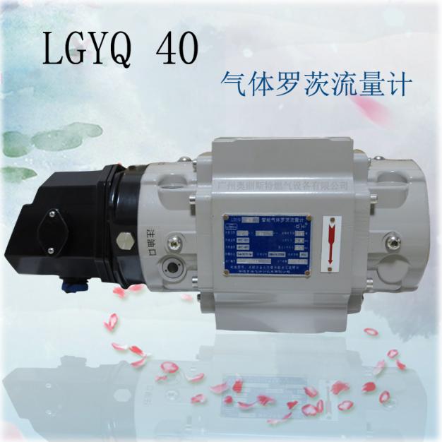 腰輪燃?xì)饬髁坑?jì)LQYQ40智能氣體羅茨流量計(jì)
