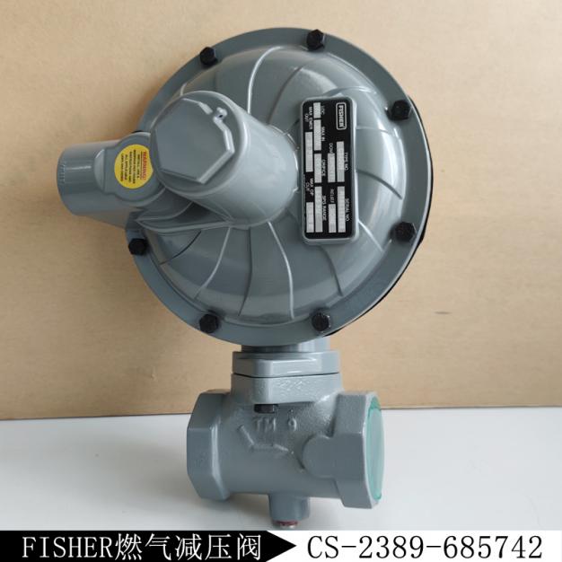 CS-2389-685742新編碼CS400IN-5I/C7/AP減壓閥庫(kù)存現(xiàn)貨