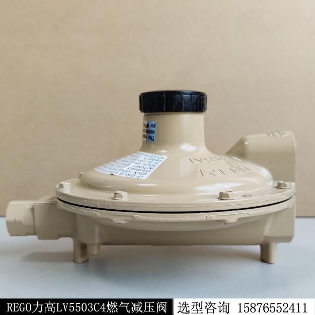 調壓器REGO煤氣燃氣LPG低壓減壓閥LV5503C4現貨庫存